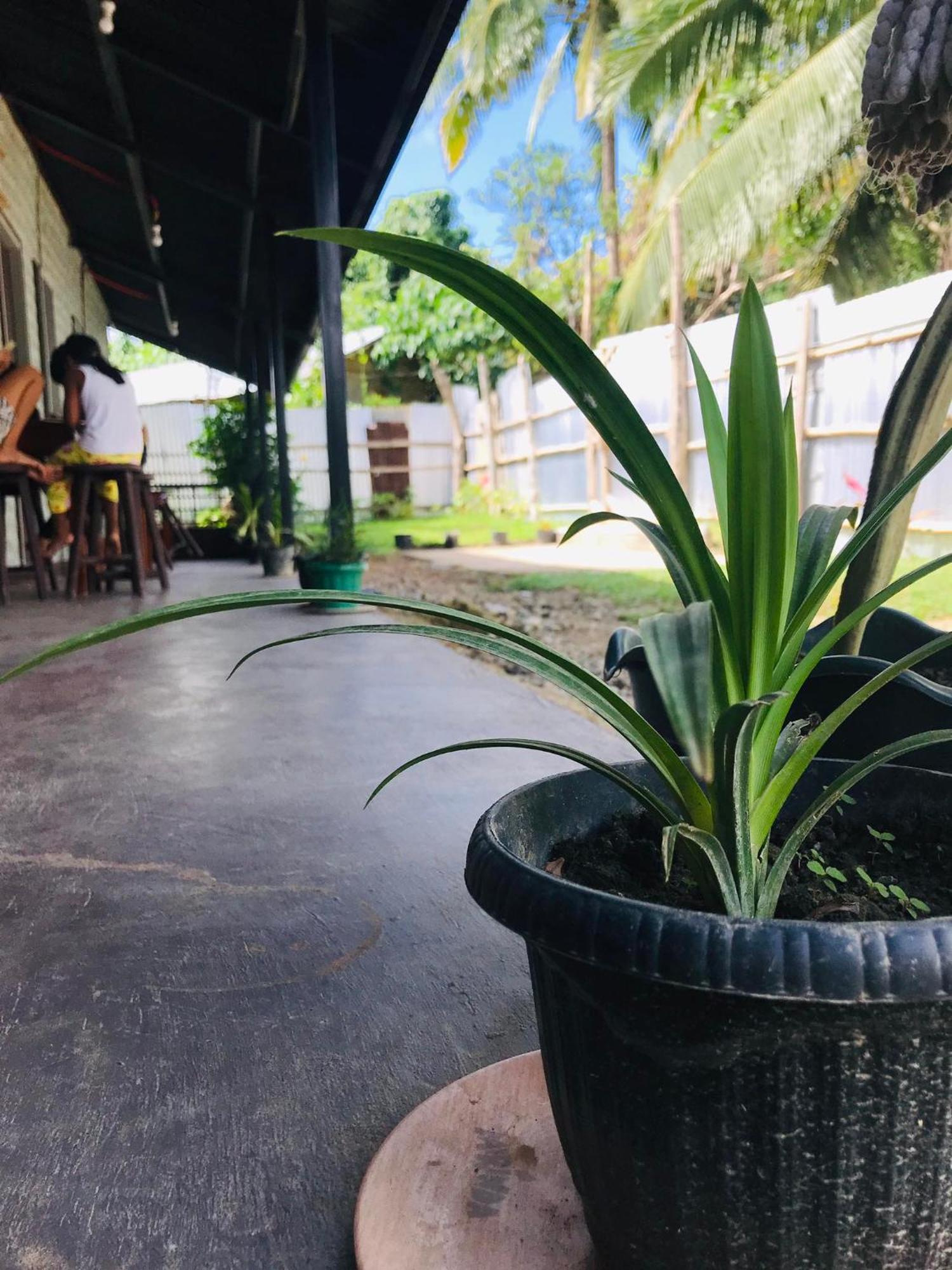 Bai Quaba El Nido Exterior foto